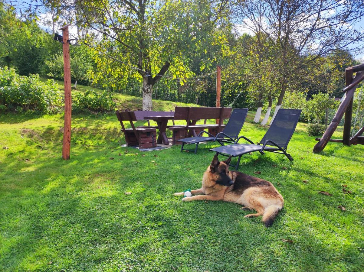 Dom Kowala Villa Jankowce Bagian luar foto