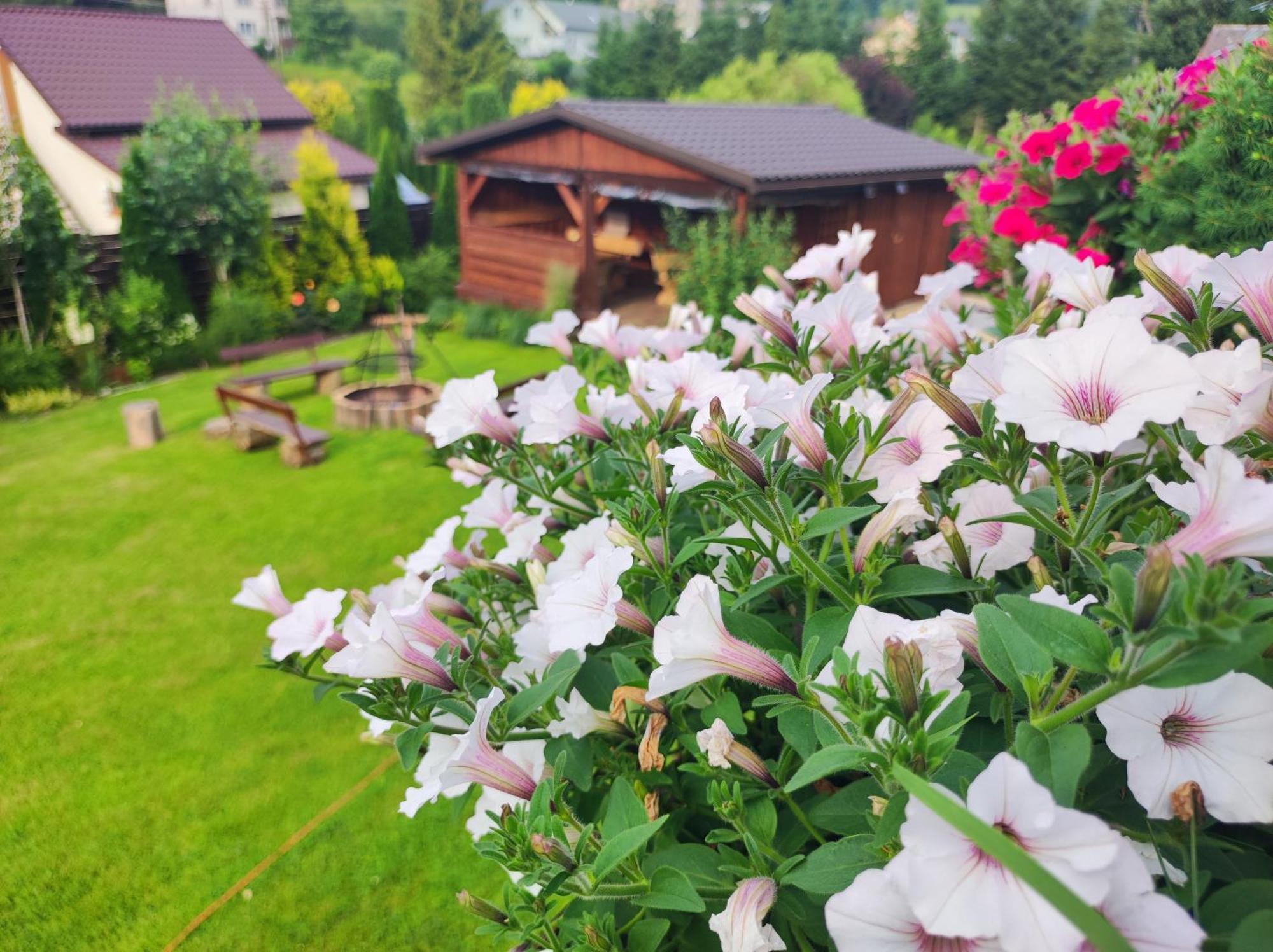 Dom Kowala Villa Jankowce Bagian luar foto