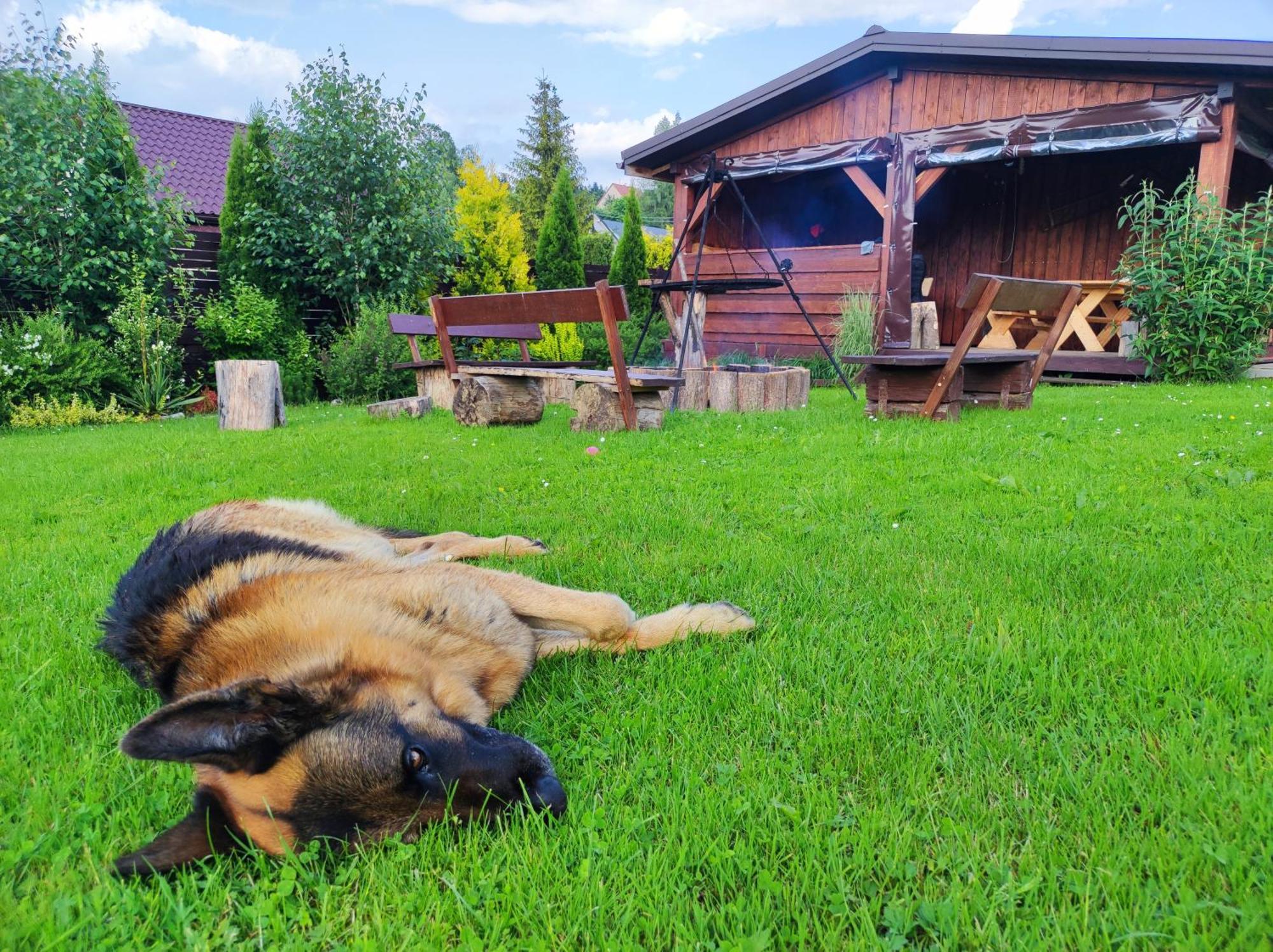 Dom Kowala Villa Jankowce Bagian luar foto